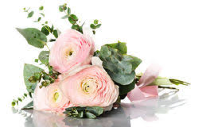 Ranunculus