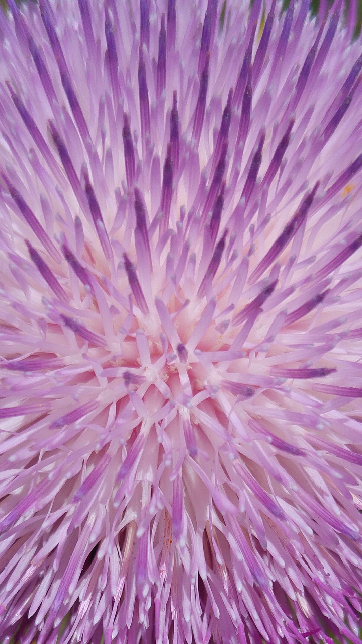 background-2458223_1280.jpg